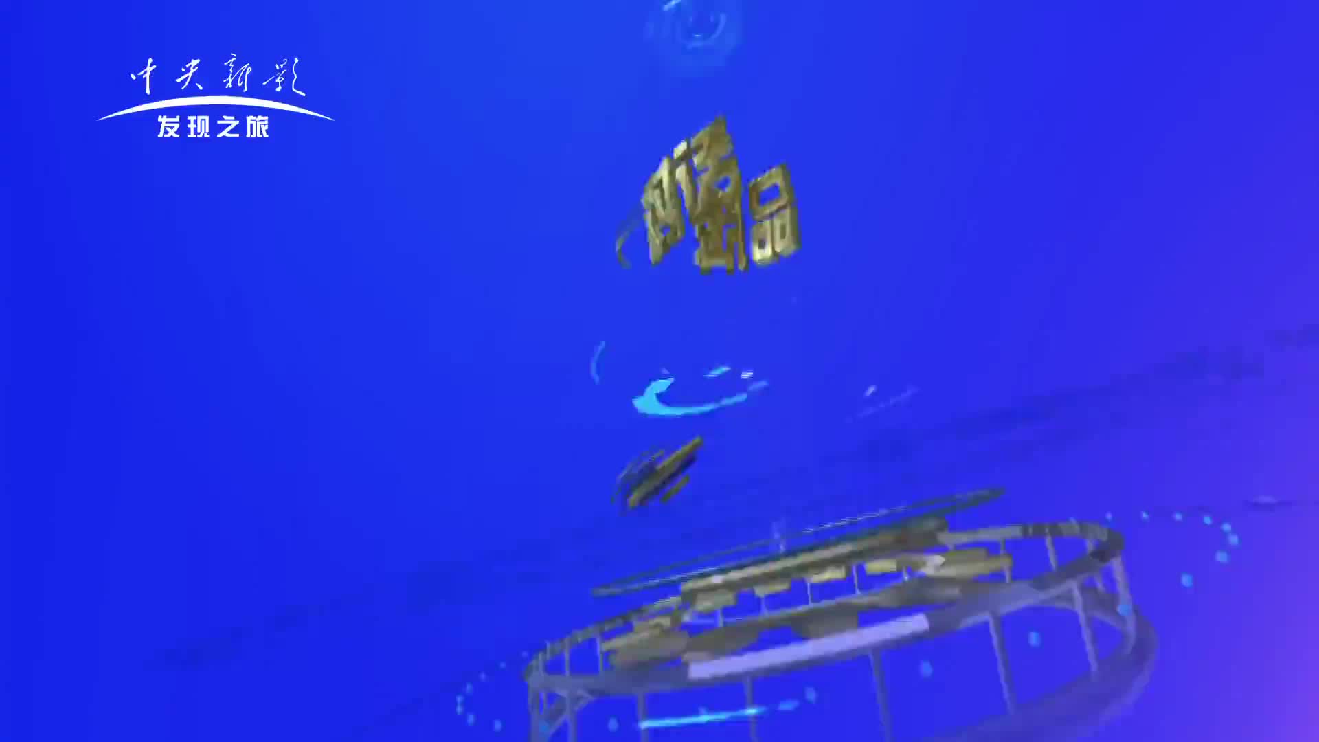 砥礪奮進 科技創新 CCTV《對話品牌》欄目組訪談美松董事長